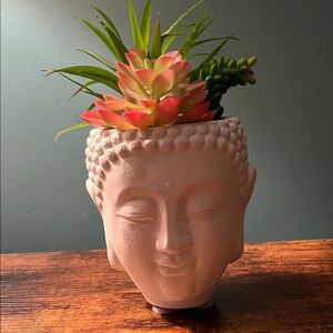 Succulent Buddha planter